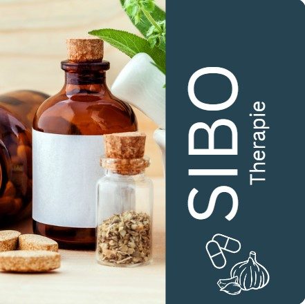 SIBO Behandlungsmöglichkeiten