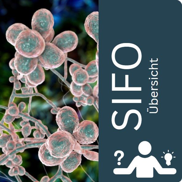 SIFO: small intestinal fungal overgrowth