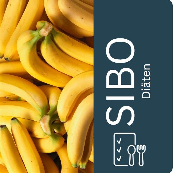 SIBO – Spezifische Kohlenhydratdiät (SCD)