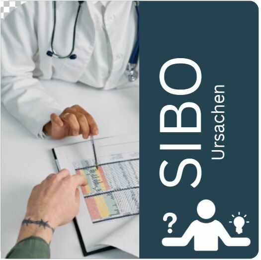 Die Dünndarm-Fehlbesiedlung (SIBO) ist eine Überwucherung des Dünndarms mit Bakterien und die häufigste Ursache des Reizdarms.